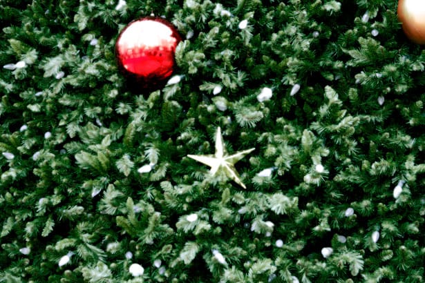 Close up of a Christmas tree.