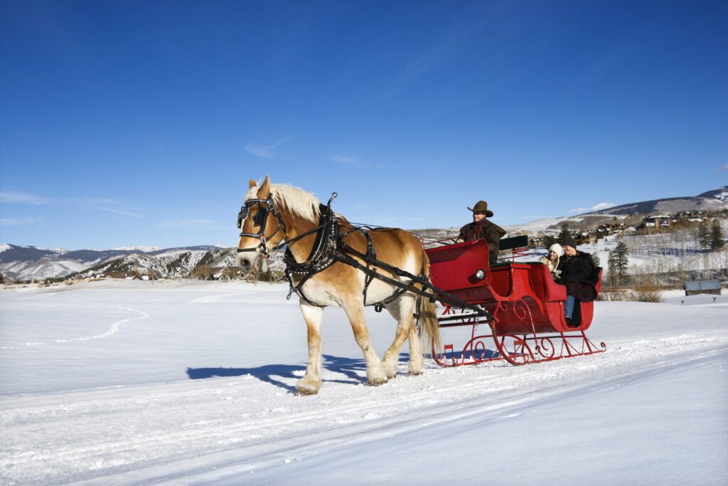 snowy sleigh ride